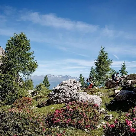 Alpine Superior-formerly Tui *